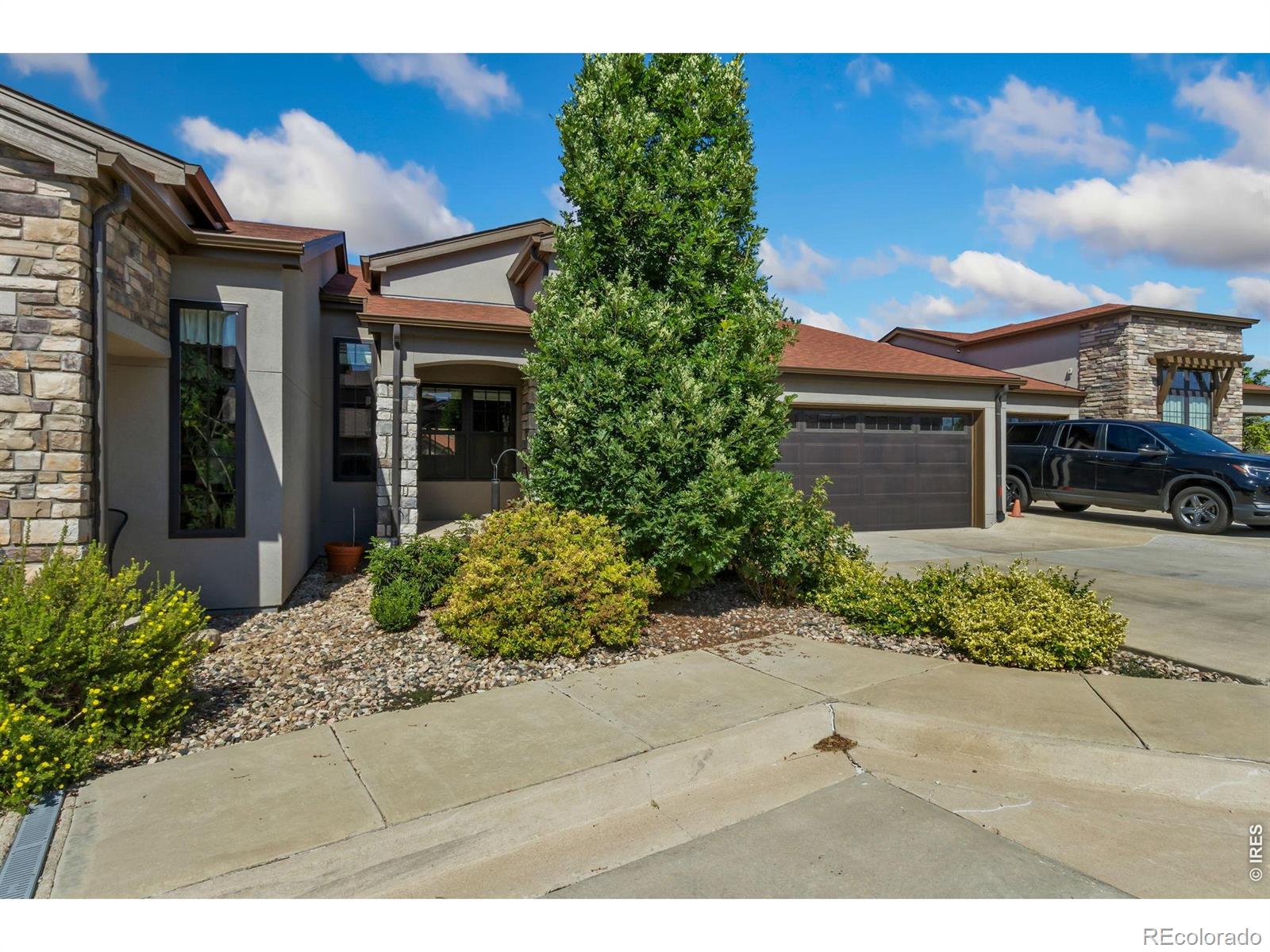 MLS Image #1 for 1011  sabatino lane,fort collins, Colorado