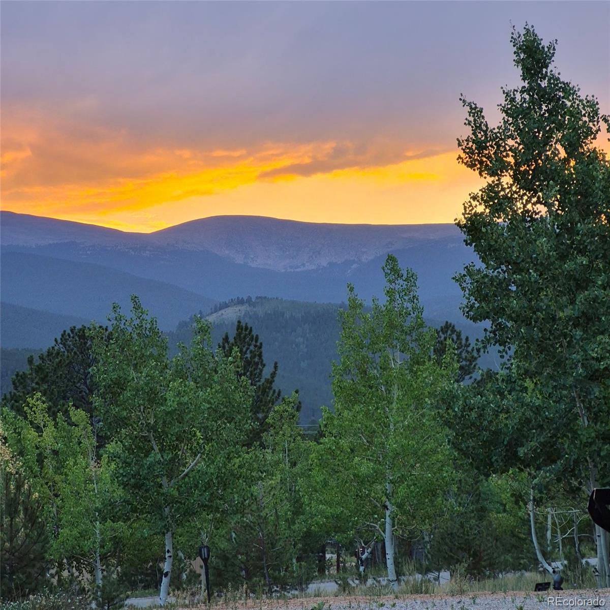 MLS Image #6 for 388  clark road,bailey, Colorado