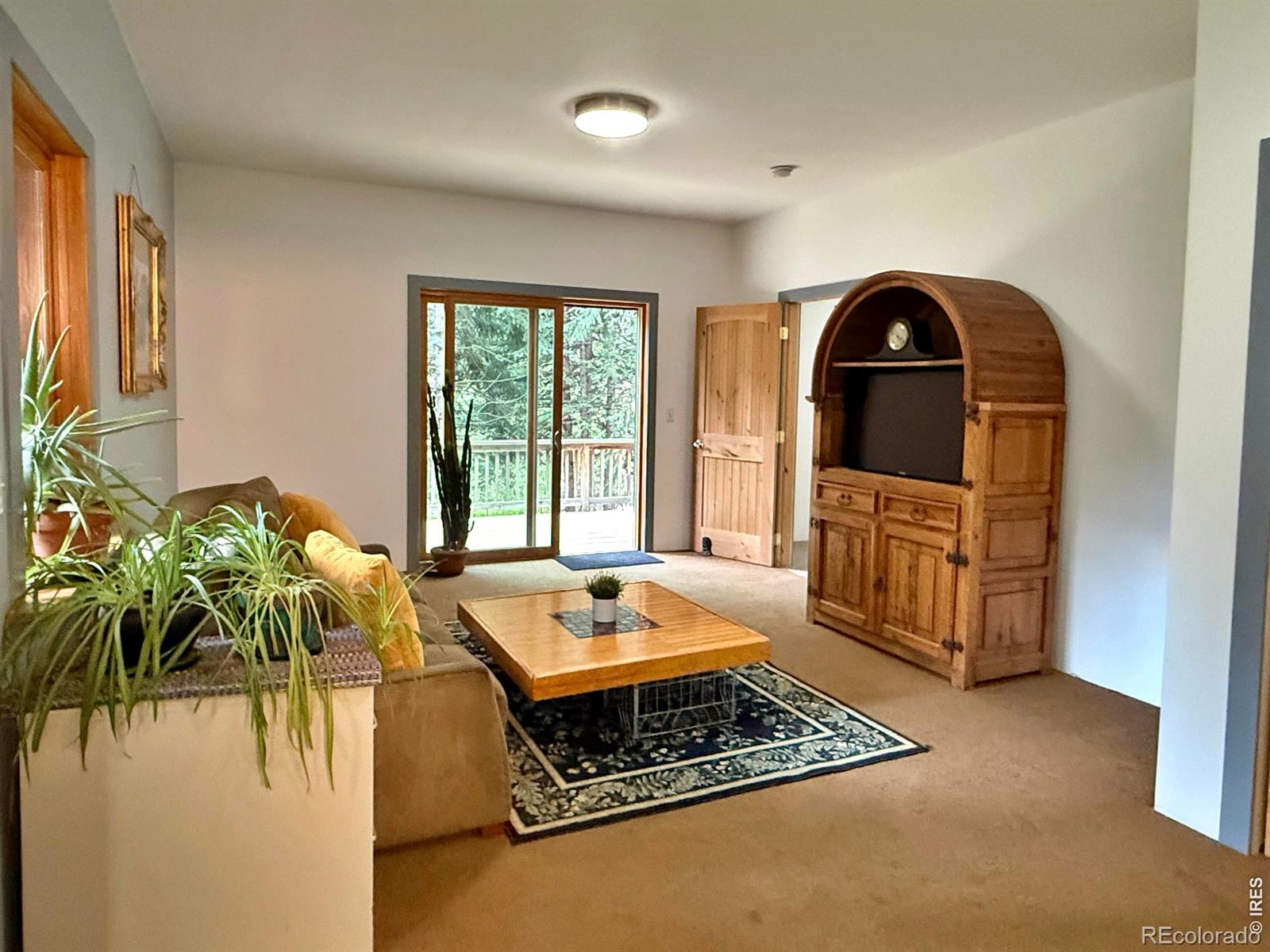 MLS Image #10 for 3727  gamble gulch road,black hawk, Colorado