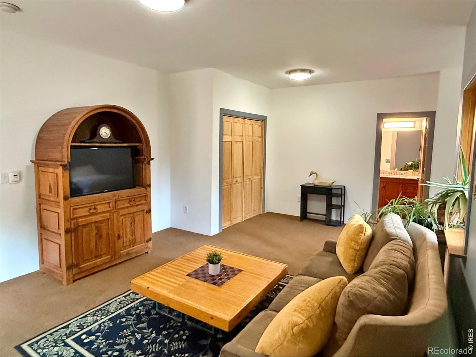 MLS Image #11 for 3727  gamble gulch road,black hawk, Colorado