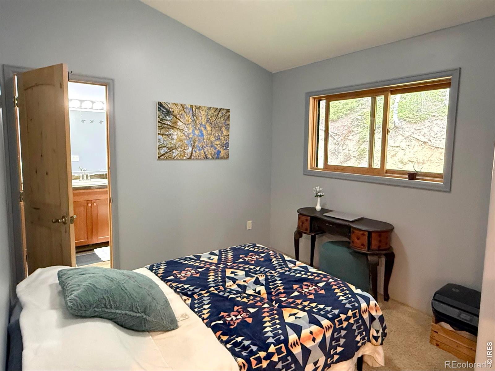 MLS Image #15 for 3727  gamble gulch road,black hawk, Colorado