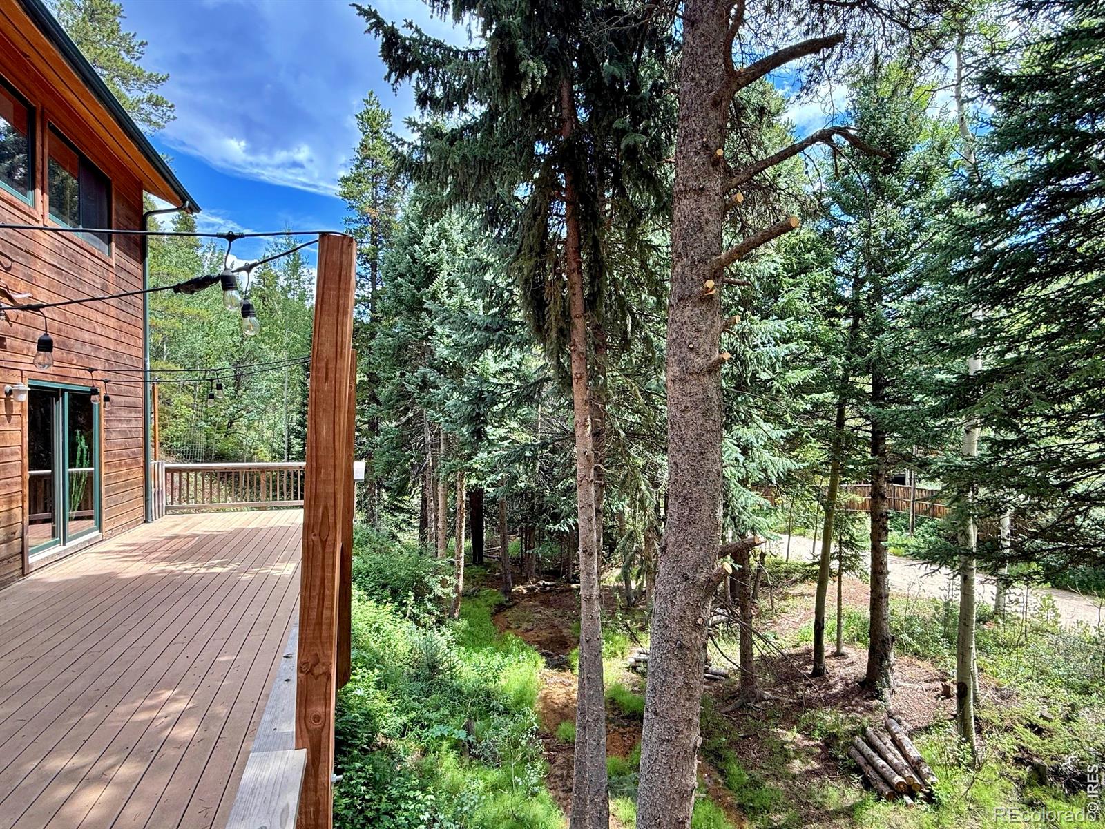 MLS Image #22 for 3727  gamble gulch road,black hawk, Colorado