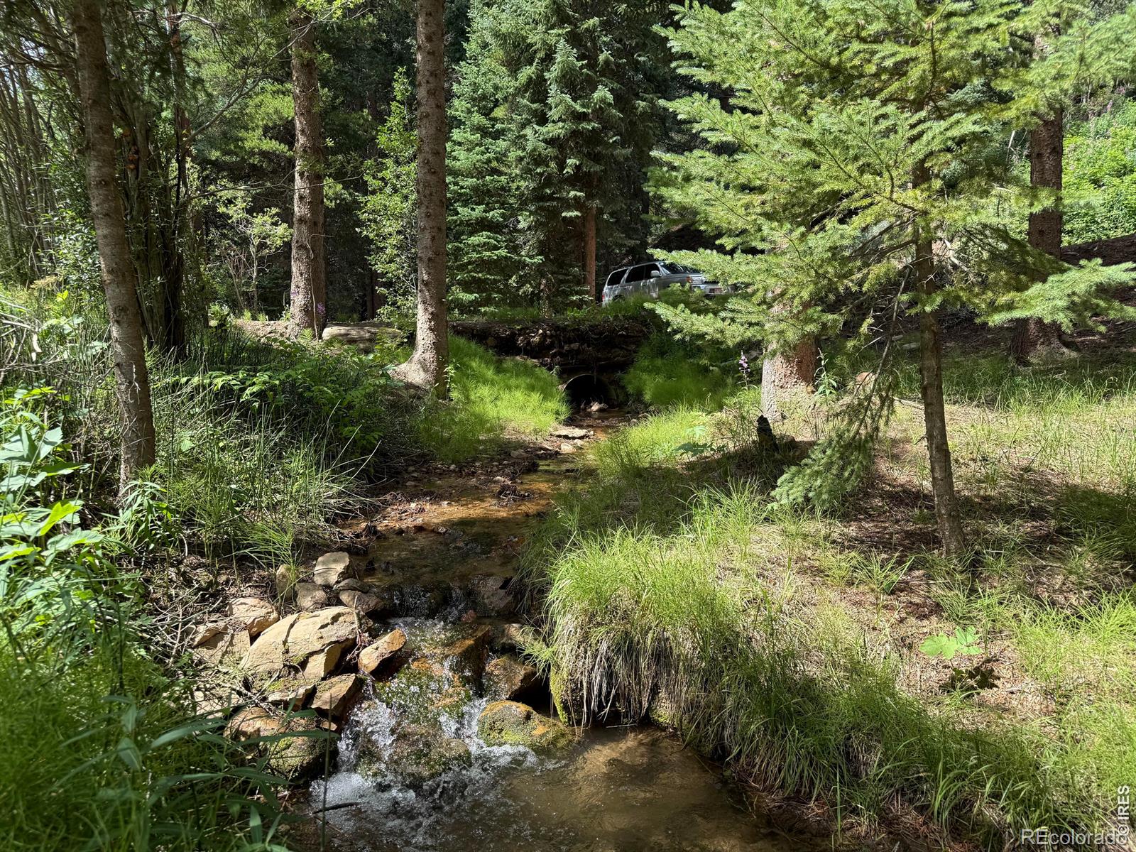 MLS Image #30 for 3727  gamble gulch road,black hawk, Colorado