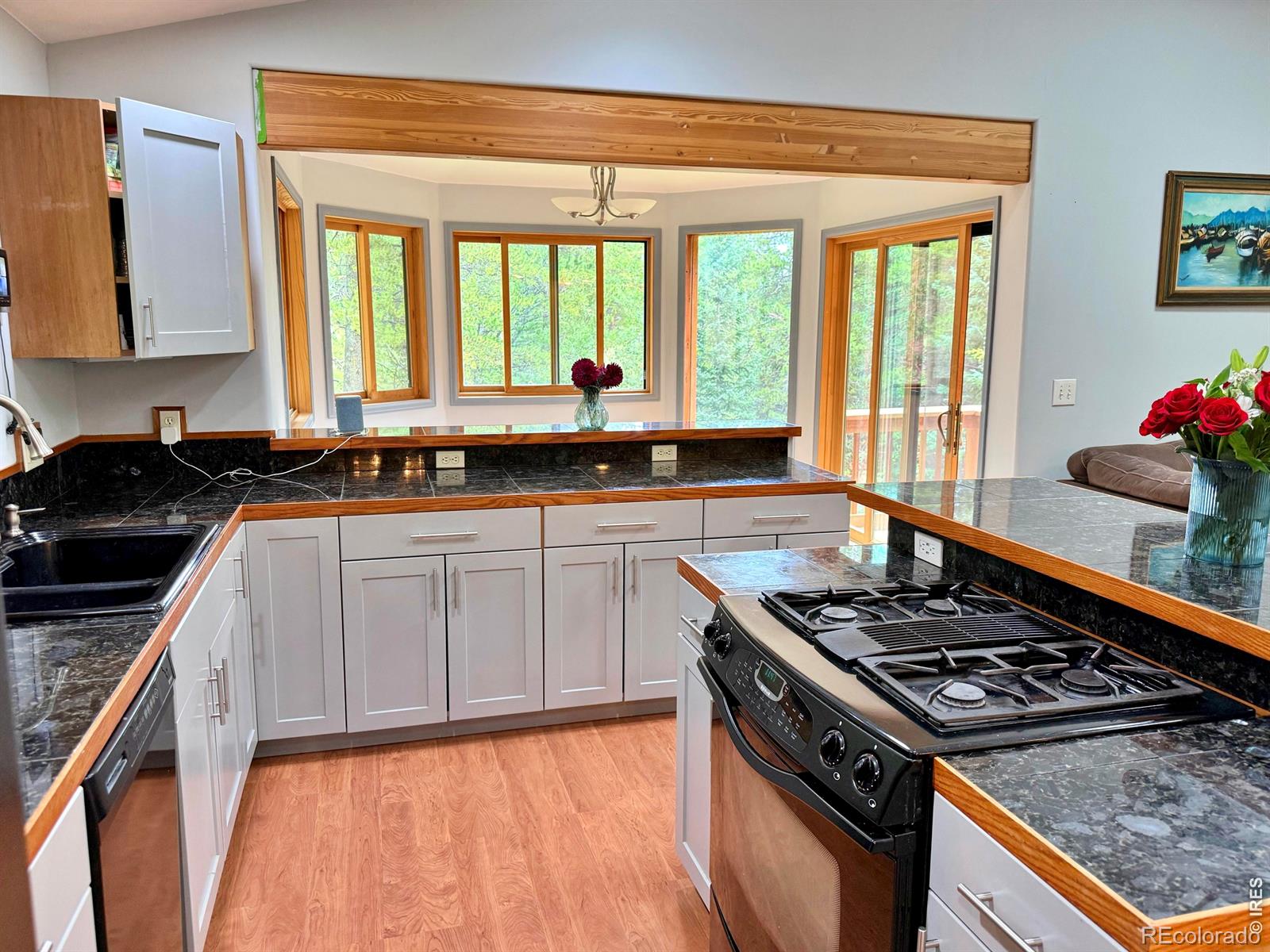 MLS Image #8 for 3727  gamble gulch road,black hawk, Colorado