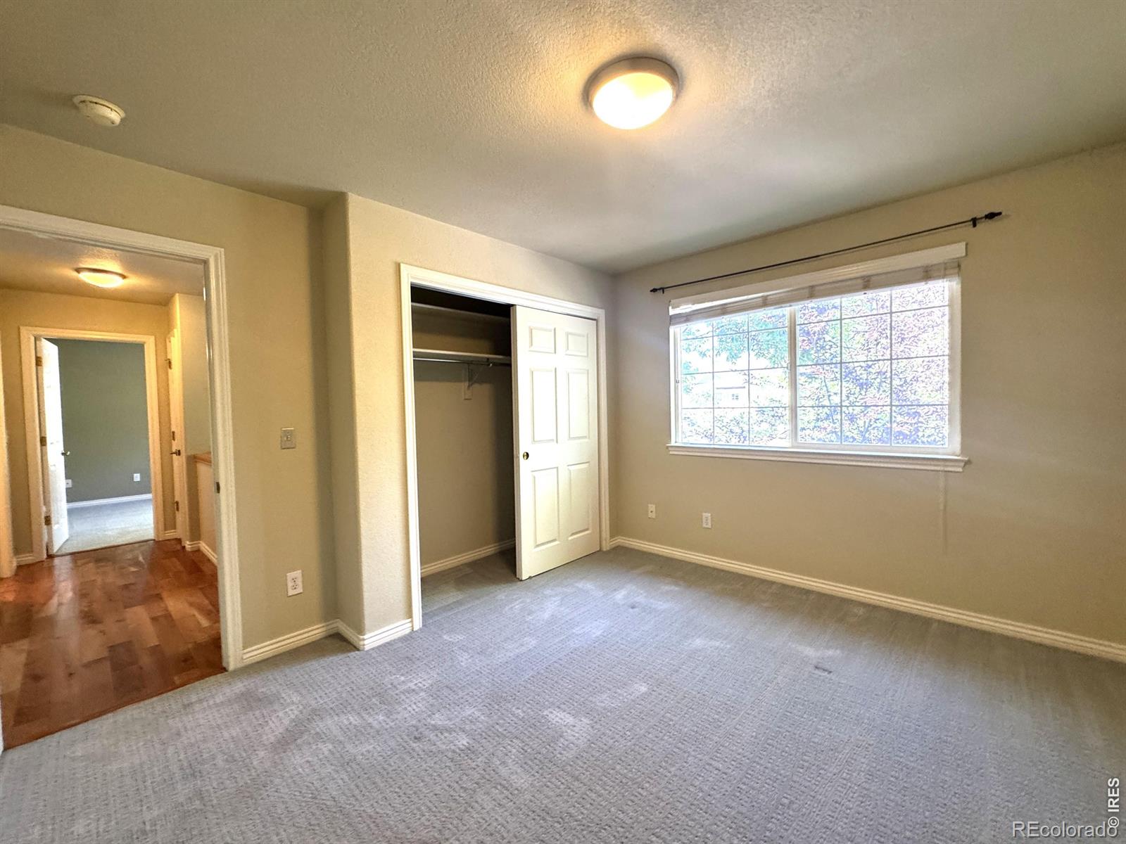 MLS Image #23 for 1202  della street,longmont, Colorado