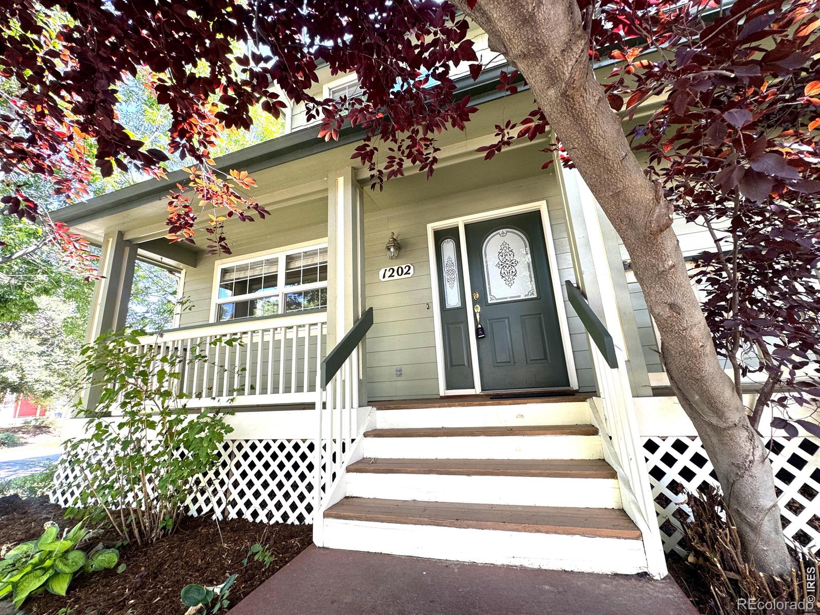 MLS Image #4 for 1202  della street,longmont, Colorado