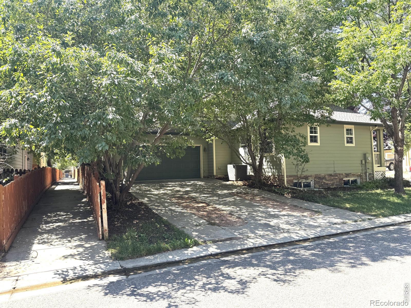 MLS Image #8 for 1202  della street,longmont, Colorado