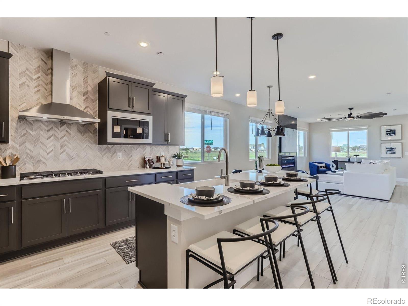 MLS Image #6 for 2840  bear springs circle,longmont, Colorado
