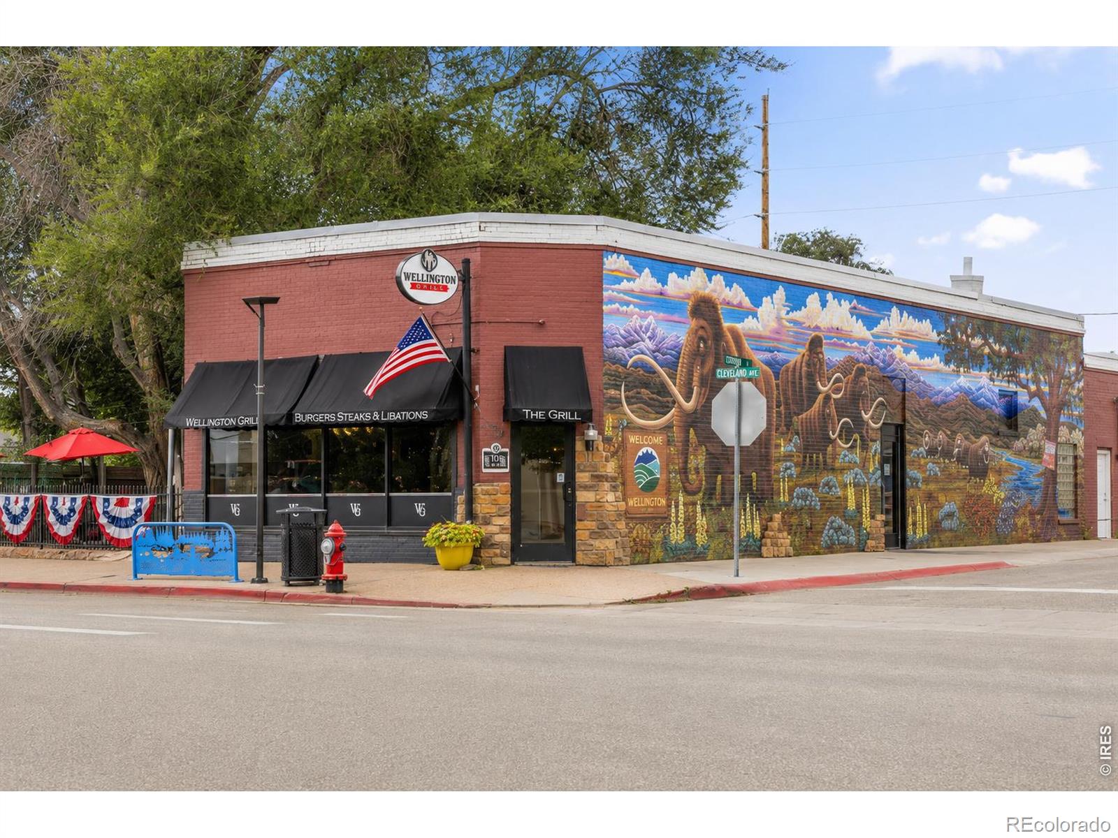 MLS Image #49 for 6875  lee street,wellington, Colorado