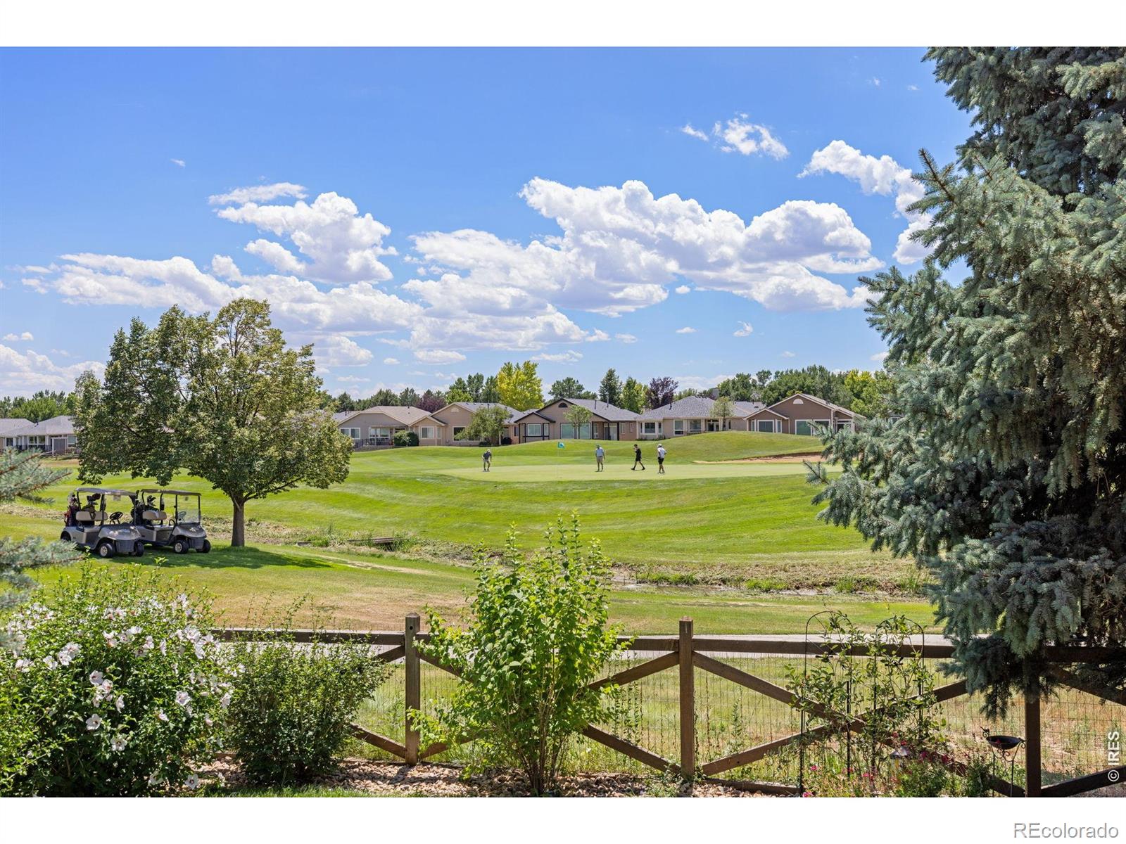 MLS Image #39 for 1001  wyndemere circle,longmont, Colorado