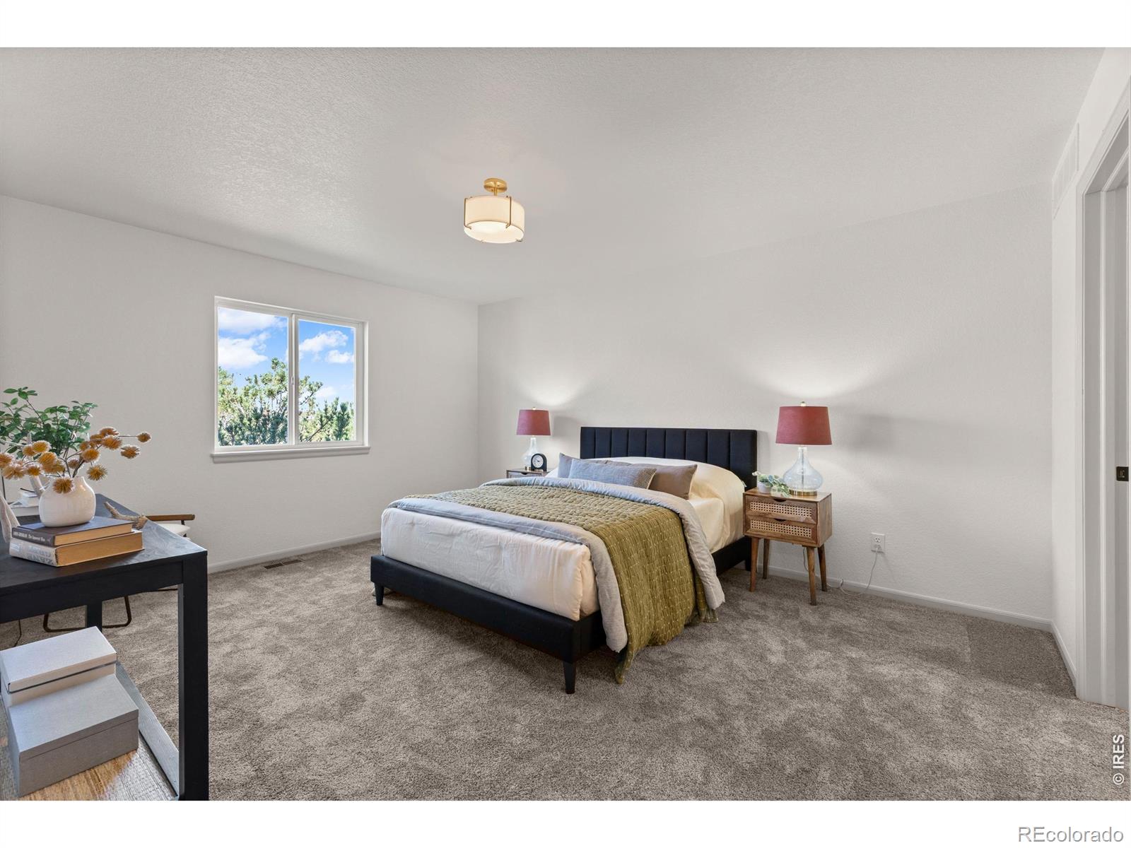MLS Image #19 for 220  manor court,windsor, Colorado