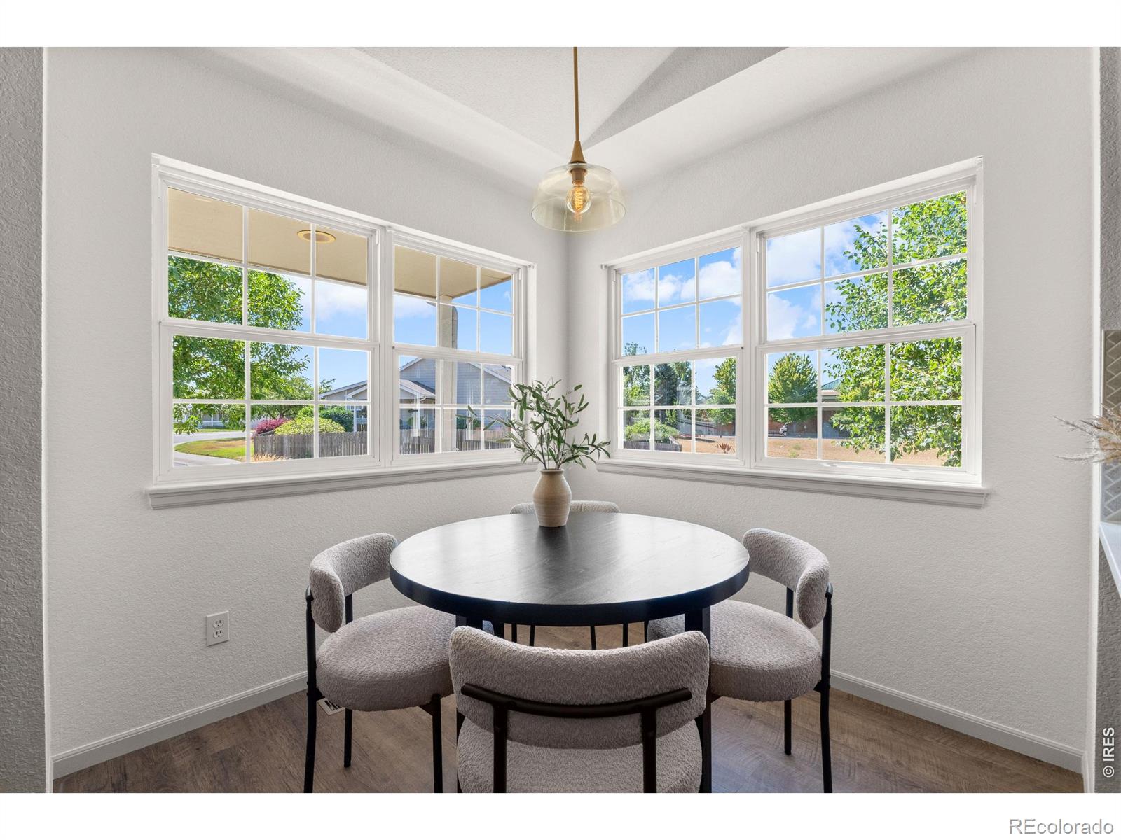 MLS Image #8 for 220  manor court,windsor, Colorado