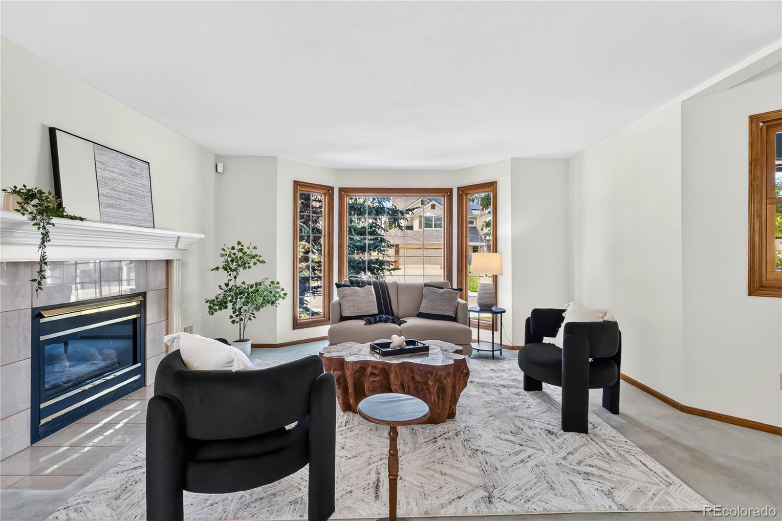 MLS Image #14 for 9967  falcon creek drive,littleton, Colorado