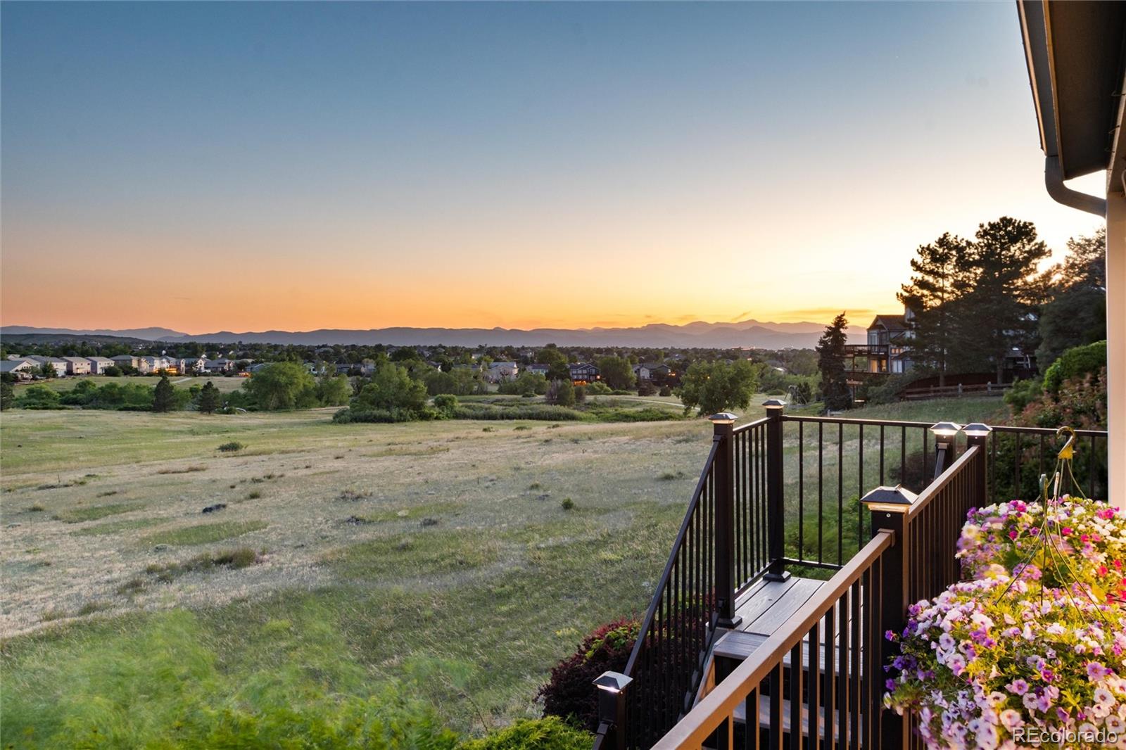MLS Image #6 for 9967  falcon creek drive,littleton, Colorado