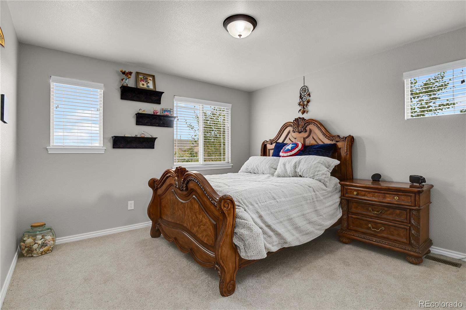 MLS Image #24 for 7158  spring linden court,colorado springs, Colorado