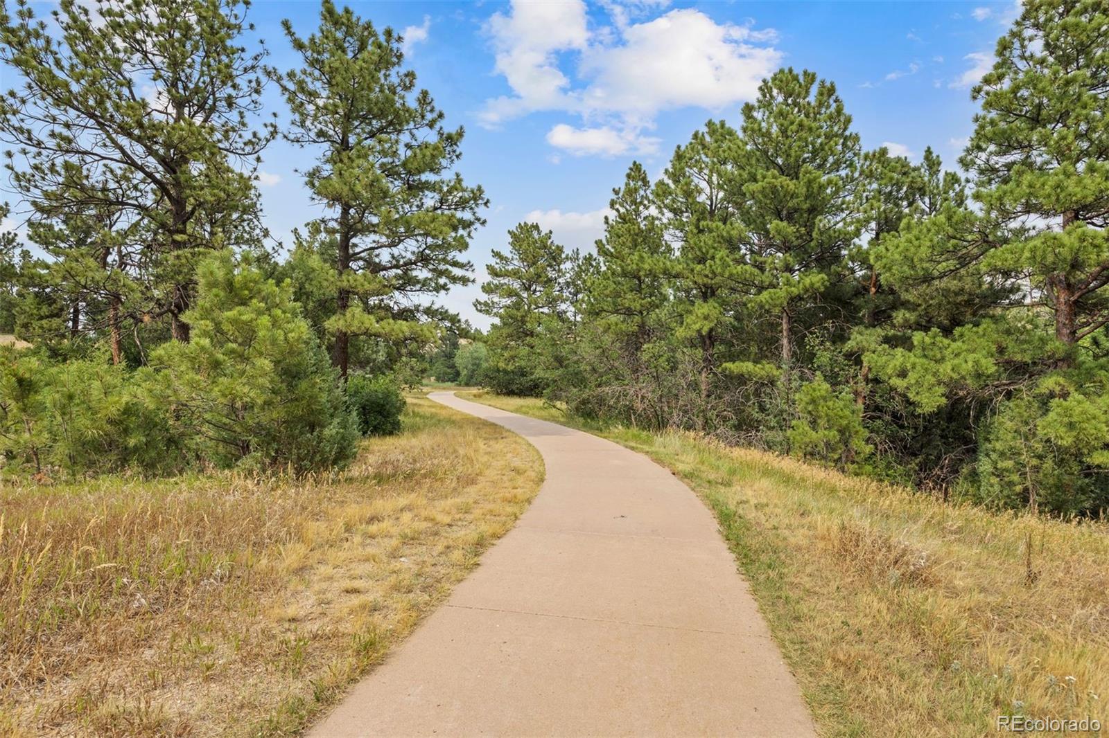 MLS Image #19 for 5850  still meadow place,castle rock, Colorado