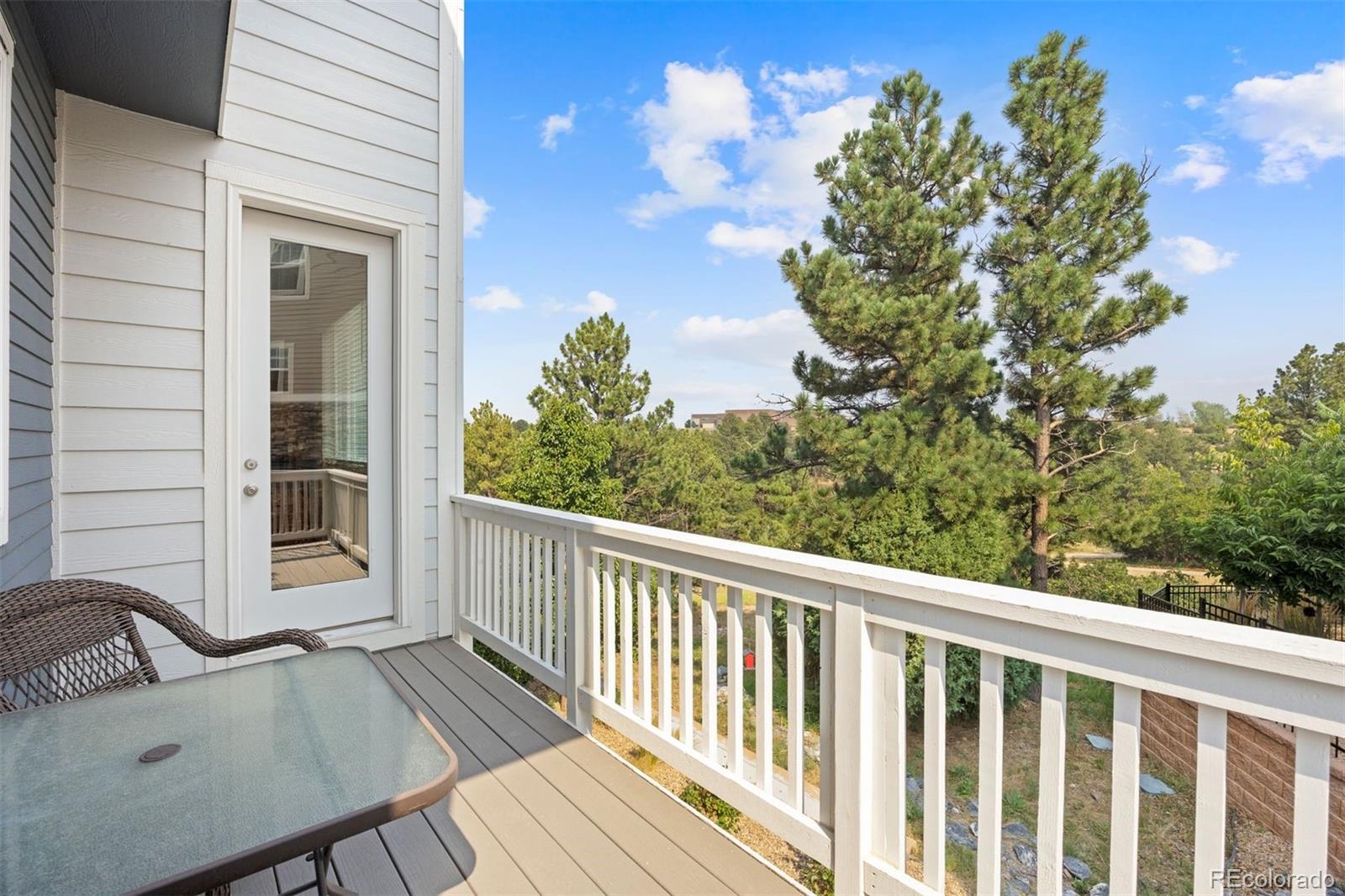 MLS Image #6 for 5850  still meadow place,castle rock, Colorado
