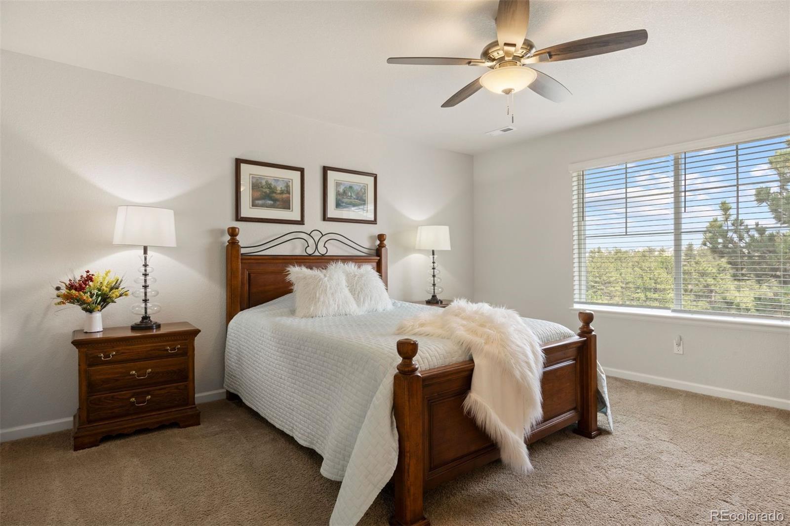 MLS Image #7 for 5850  still meadow place,castle rock, Colorado