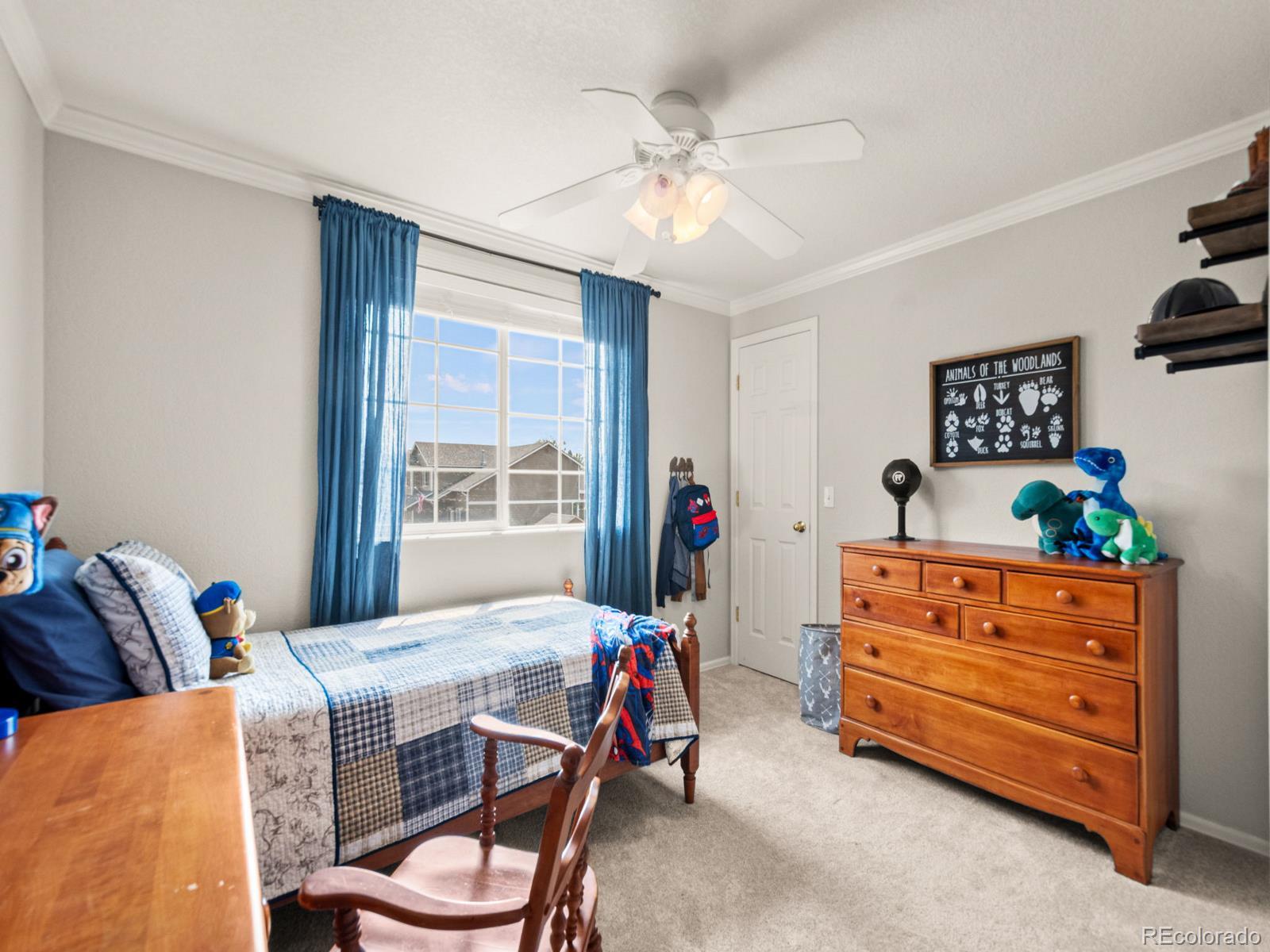 MLS Image #25 for 4833  eckert street,castle rock, Colorado