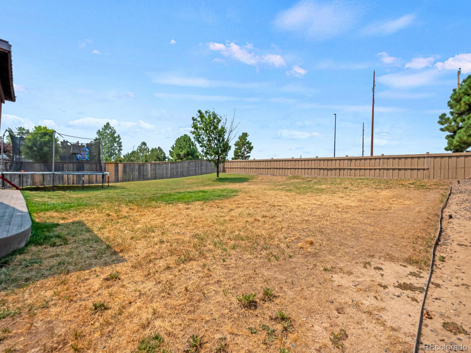 MLS Image #35 for 4833  eckert street,castle rock, Colorado
