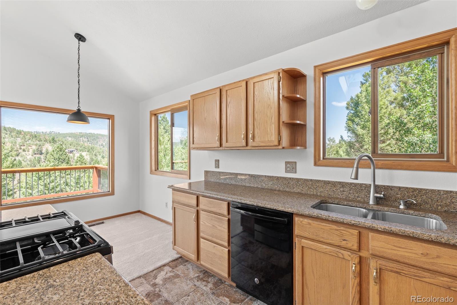 MLS Image #11 for 13596  ponderosa drive,conifer, Colorado