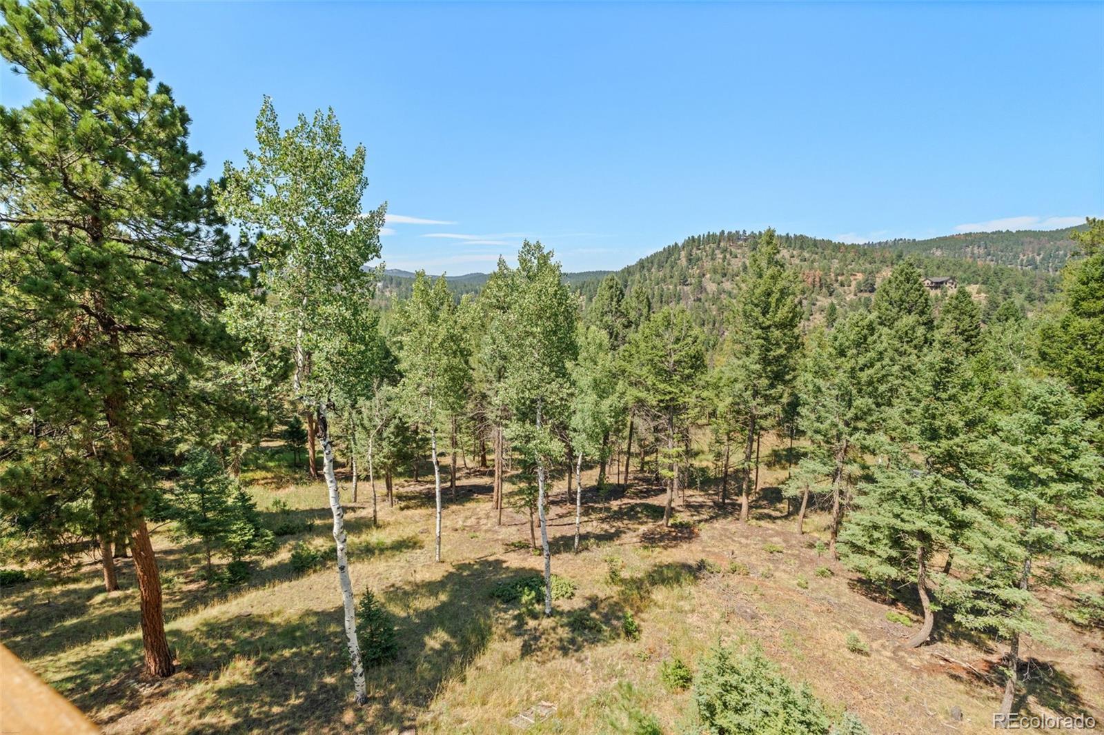 MLS Image #15 for 13596  ponderosa drive,conifer, Colorado