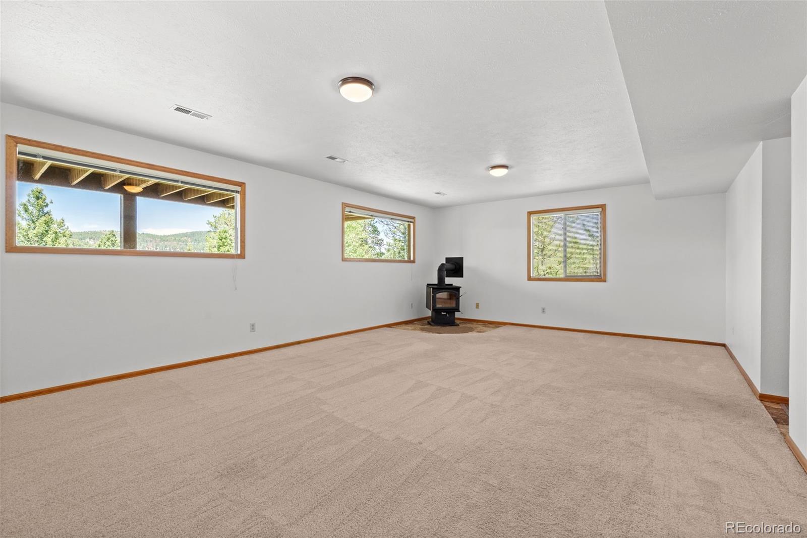 MLS Image #20 for 13596  ponderosa drive,conifer, Colorado