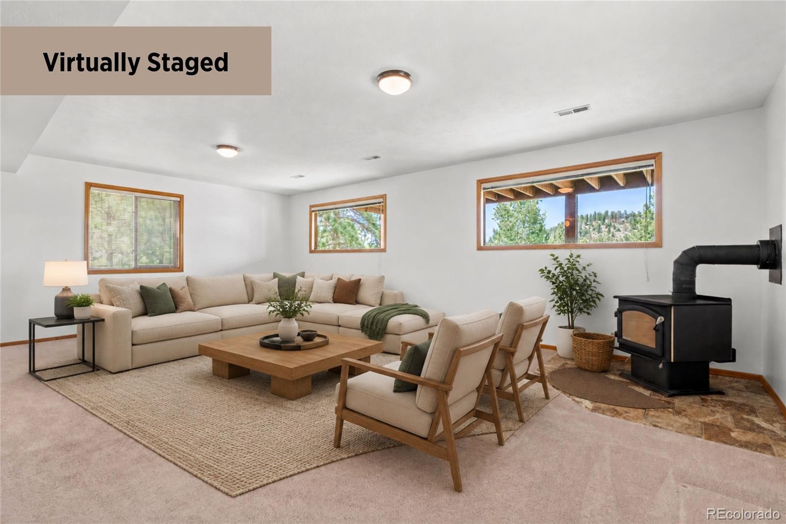 MLS Image #21 for 13596  ponderosa drive,conifer, Colorado