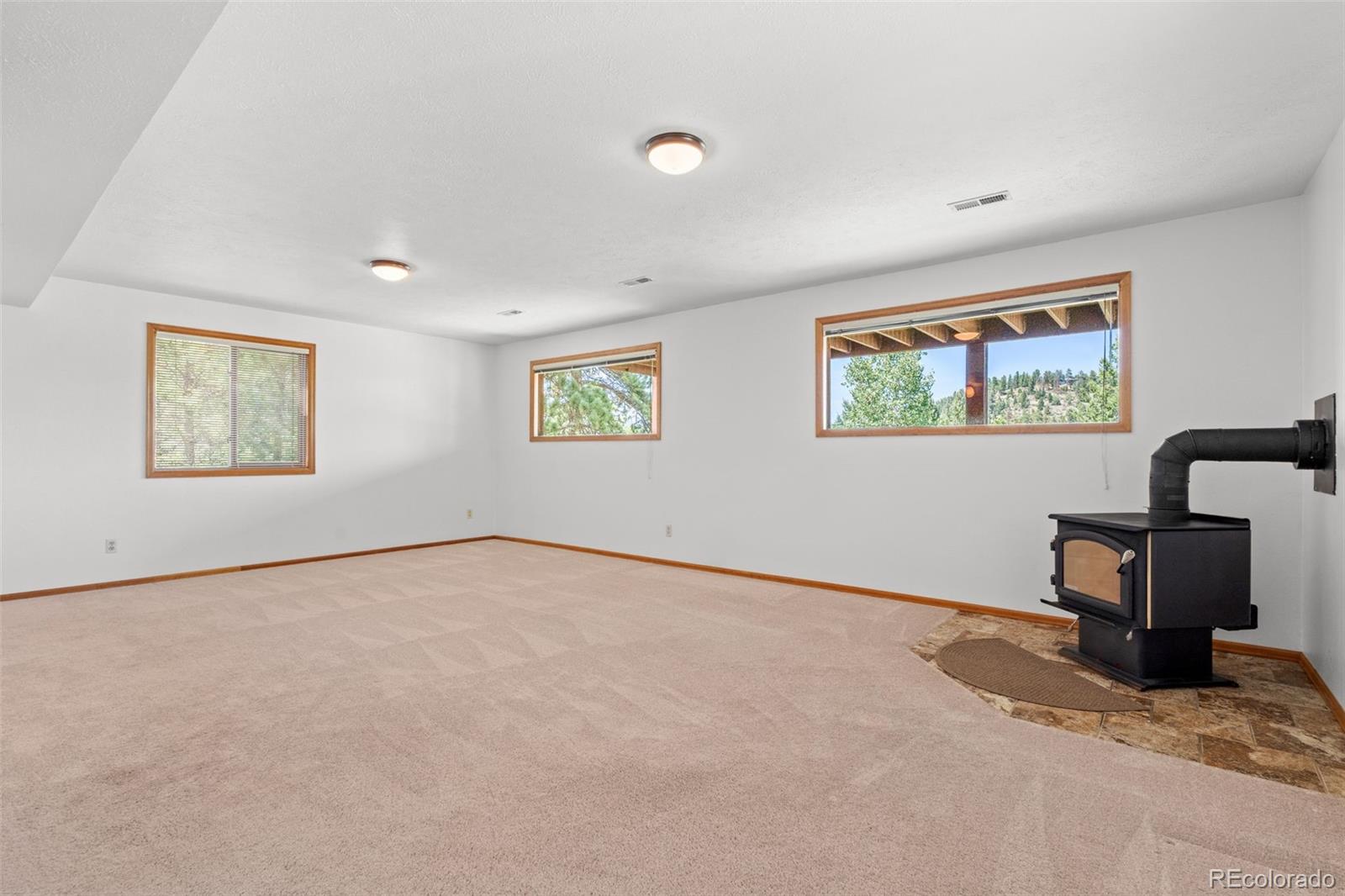 MLS Image #22 for 13596  ponderosa drive,conifer, Colorado