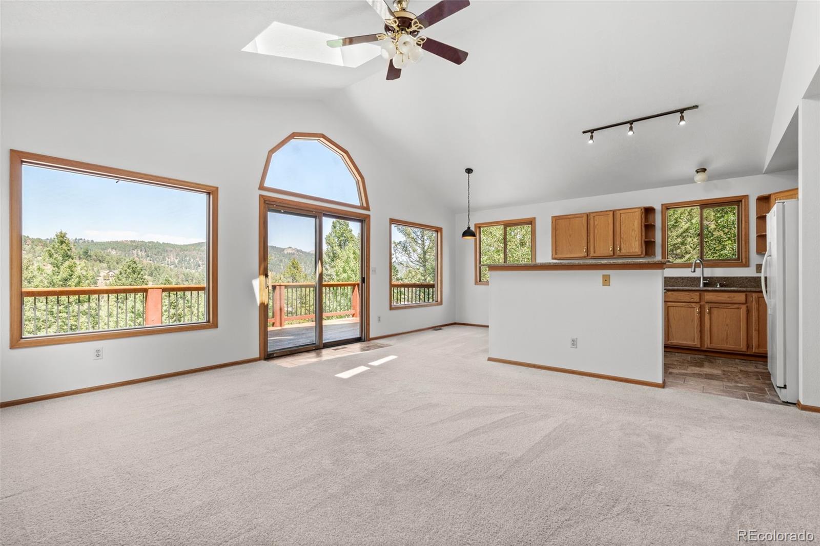 MLS Image #3 for 13596  ponderosa drive,conifer, Colorado