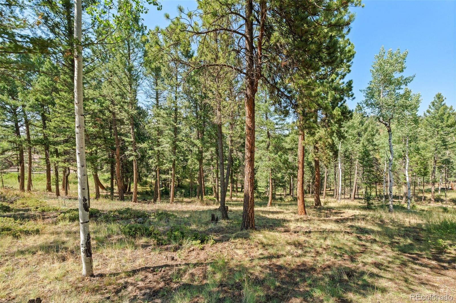 MLS Image #36 for 13596  ponderosa drive,conifer, Colorado