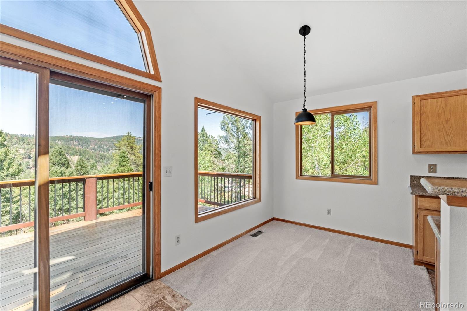MLS Image #7 for 13596  ponderosa drive,conifer, Colorado