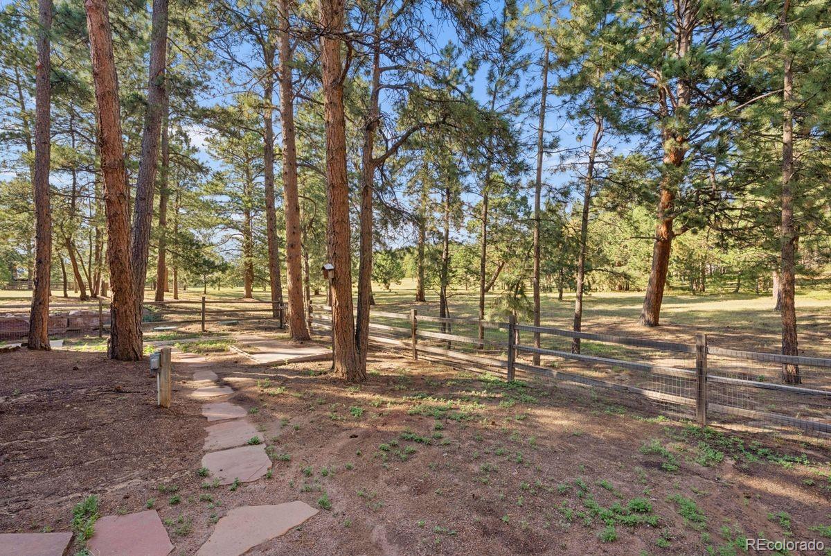 MLS Image #4 for 19825  soaring wing drive,colorado springs, Colorado