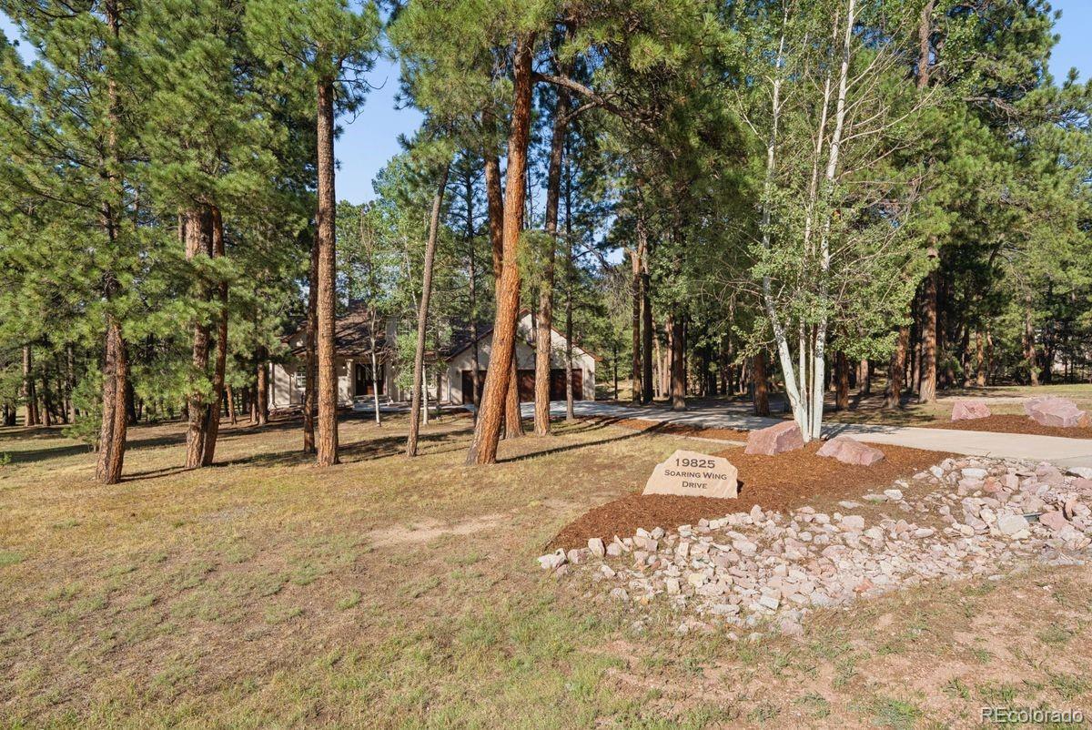 MLS Image #42 for 19825  soaring wing drive,colorado springs, Colorado