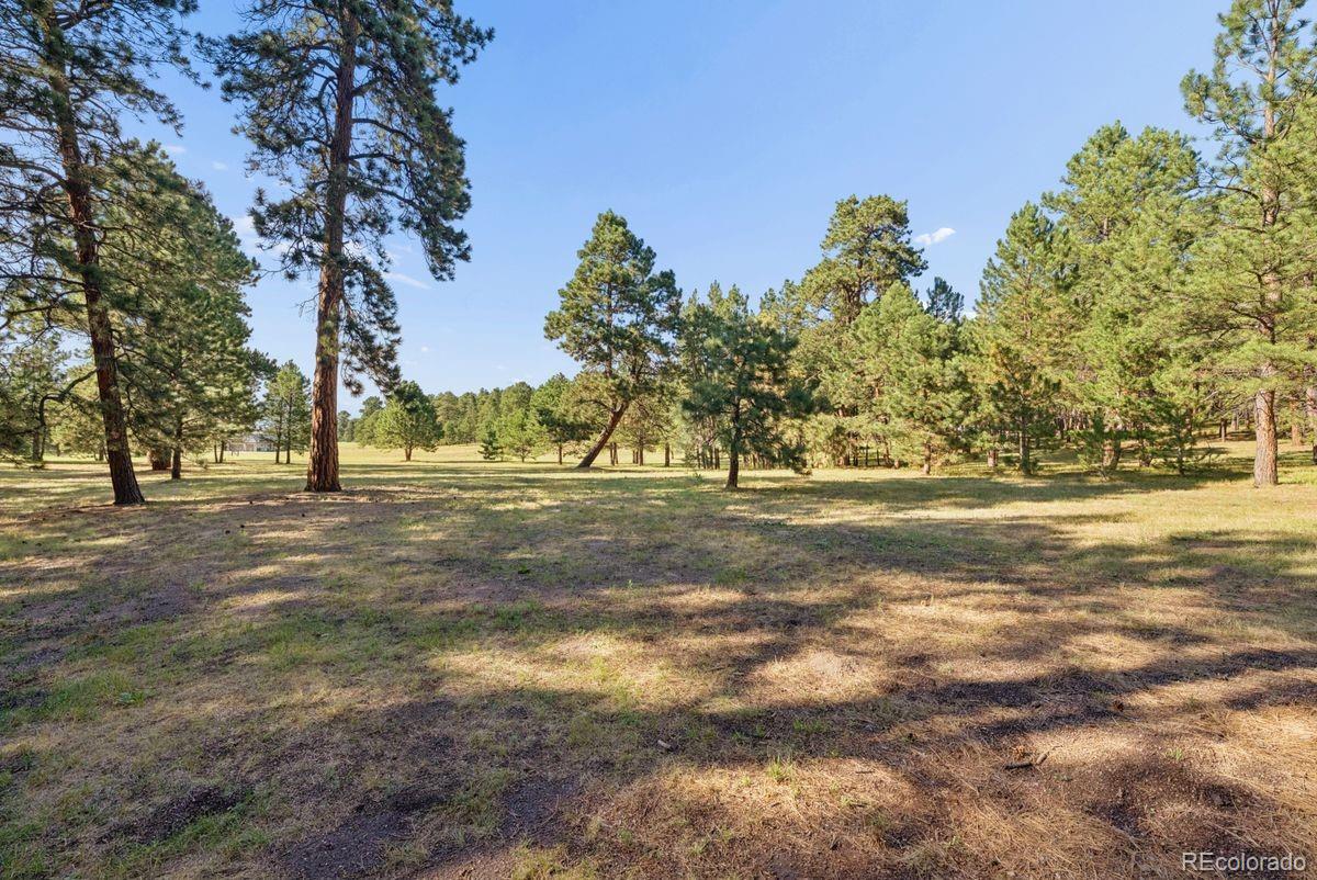 MLS Image #45 for 19825  soaring wing drive,colorado springs, Colorado