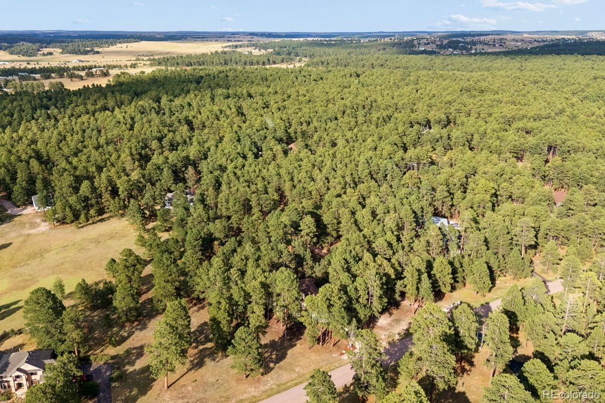 MLS Image #46 for 19825  soaring wing drive,colorado springs, Colorado