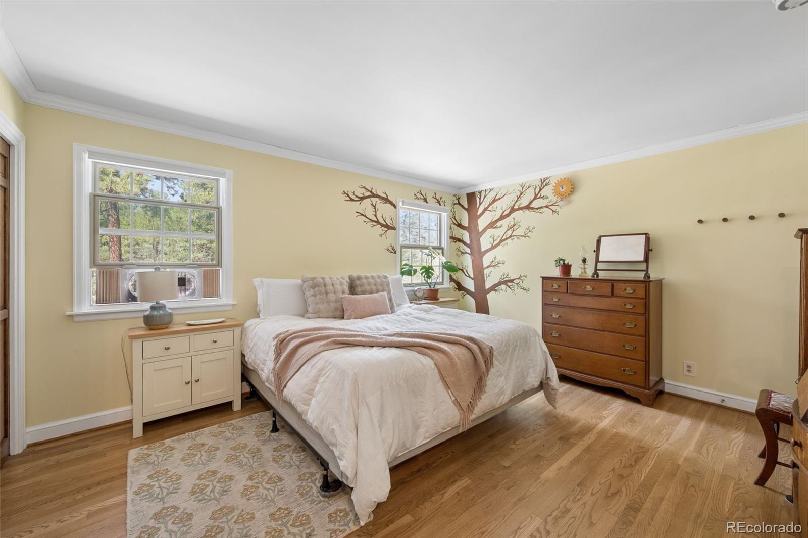 MLS Image #31 for 5150  high meadows lane,colorado springs, Colorado