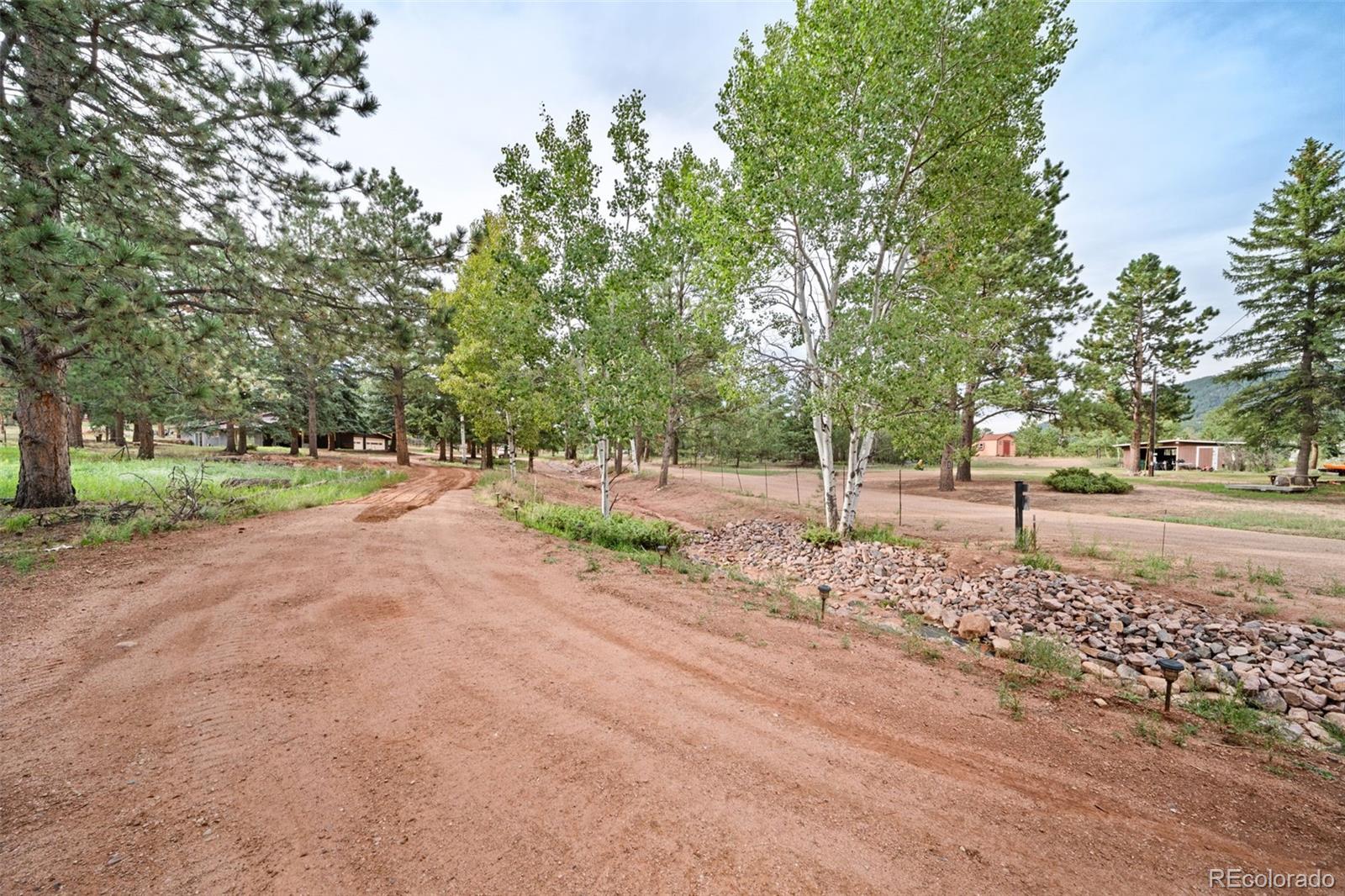 MLS Image #14 for 1869  county road 21 ,woodland park, Colorado