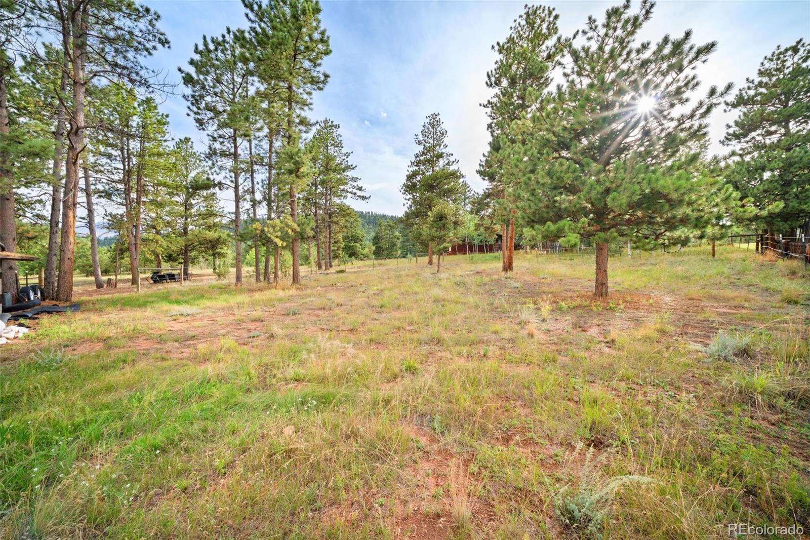 MLS Image #16 for 1869  county road 21 ,woodland park, Colorado