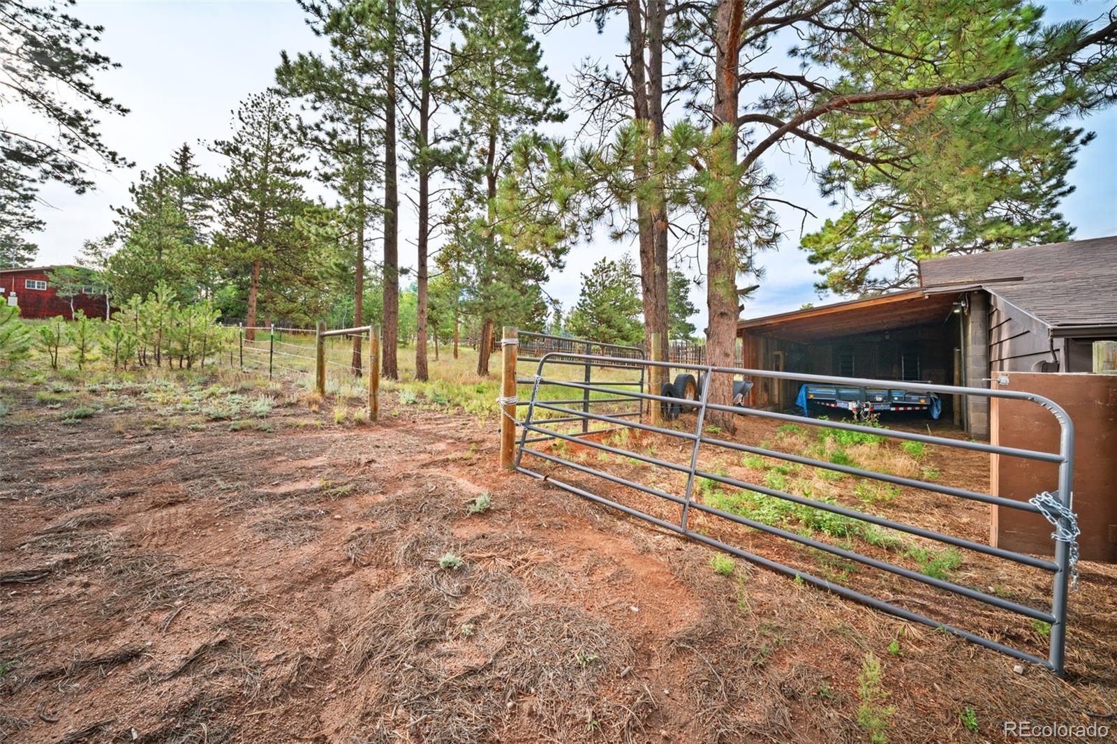 MLS Image #17 for 1869  county road 21 ,woodland park, Colorado