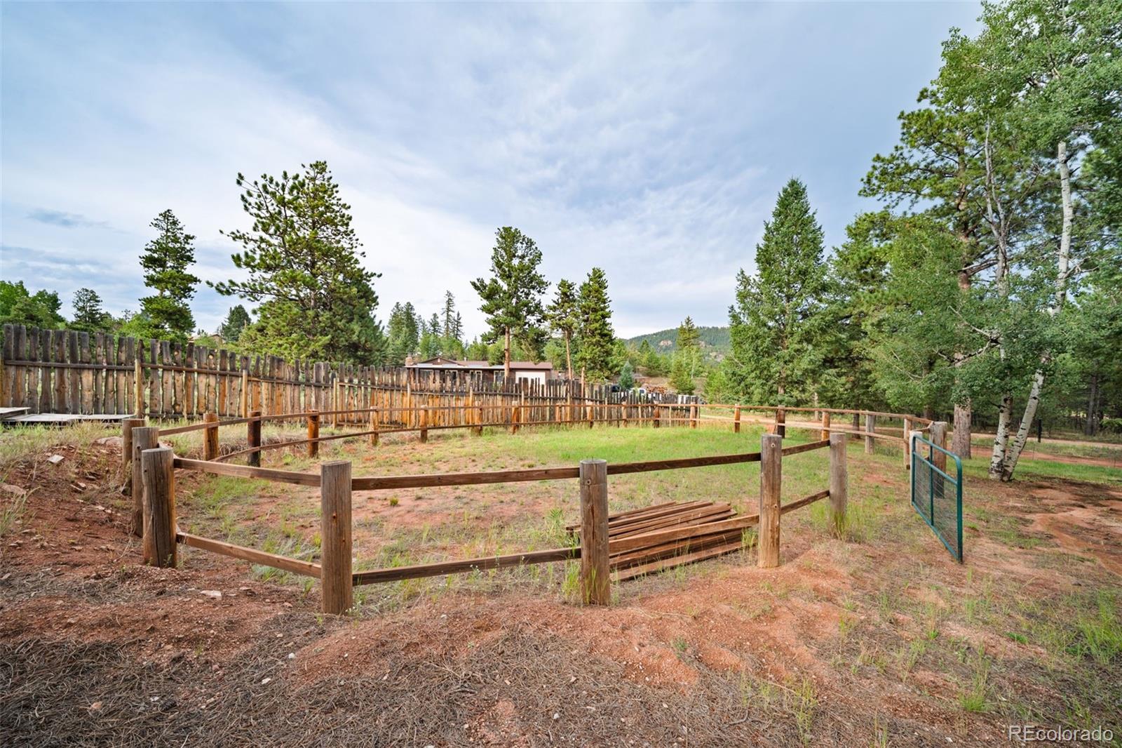MLS Image #18 for 1869  county road 21 ,woodland park, Colorado