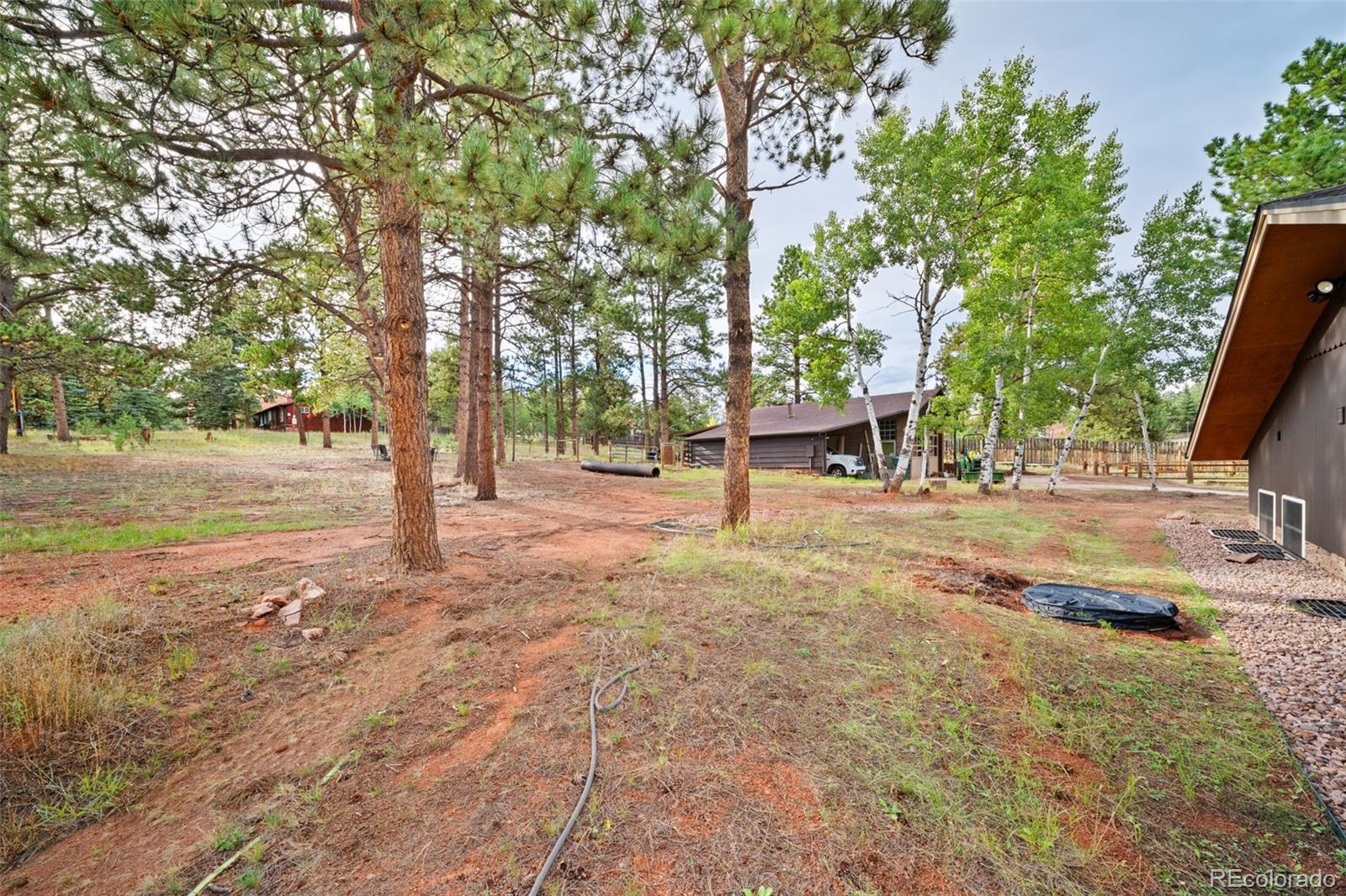 MLS Image #19 for 1869  county road 21 ,woodland park, Colorado