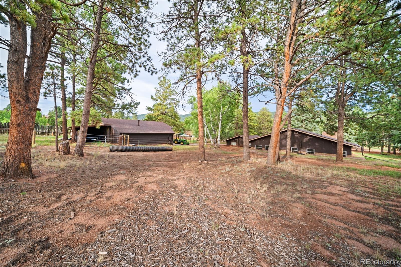 MLS Image #20 for 1869  county road 21 ,woodland park, Colorado