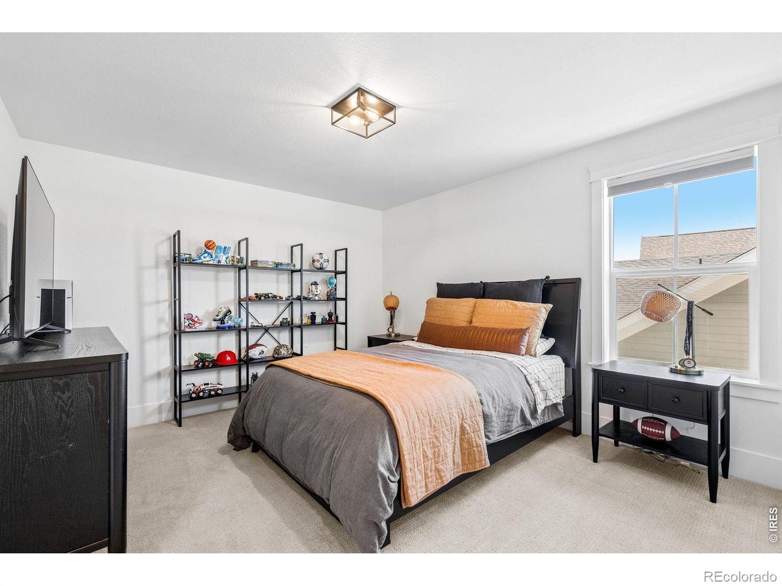 MLS Image #28 for 1555  chestnut avenue,erie, Colorado