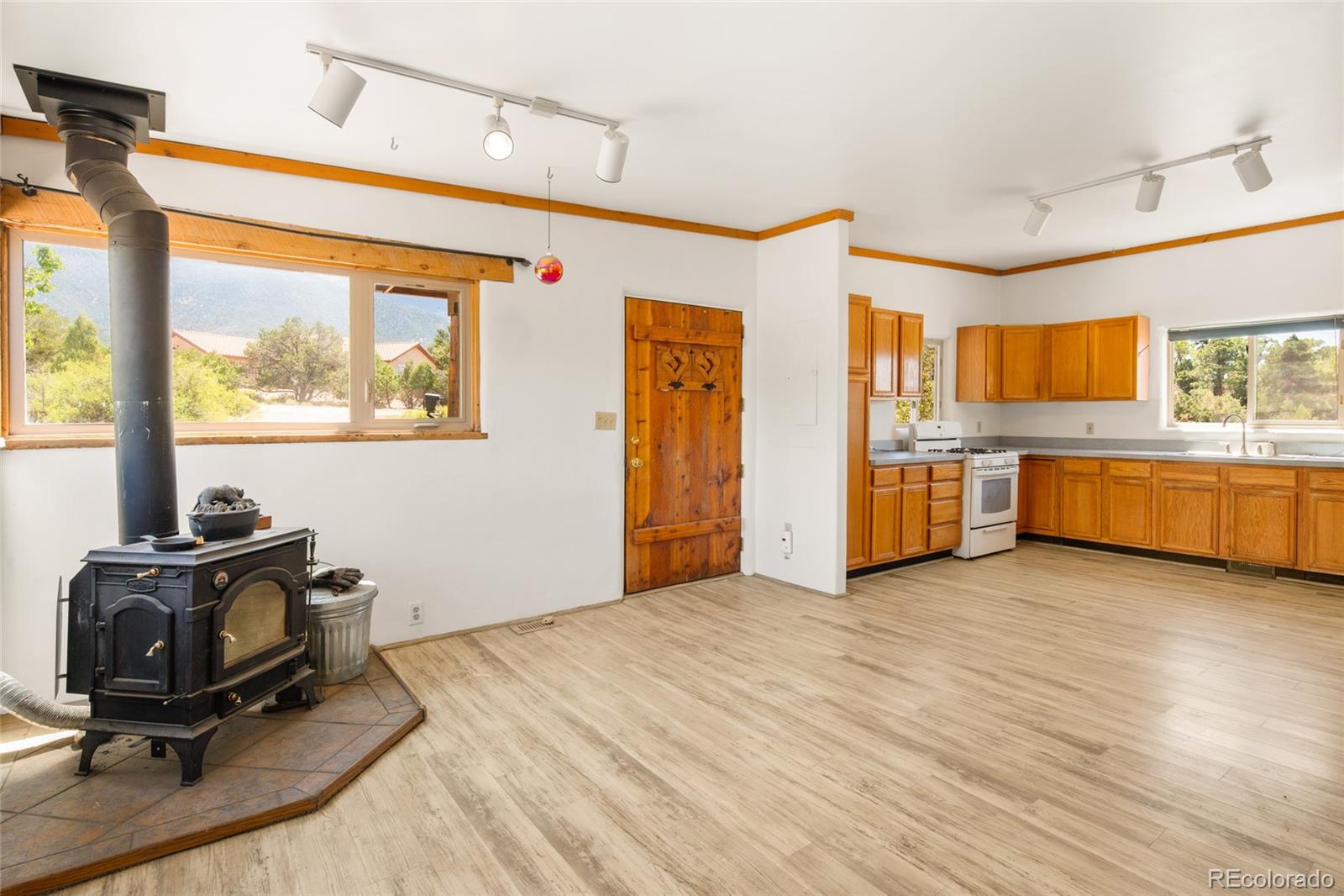 MLS Image #10 for 1494 e badger road,crestone, Colorado