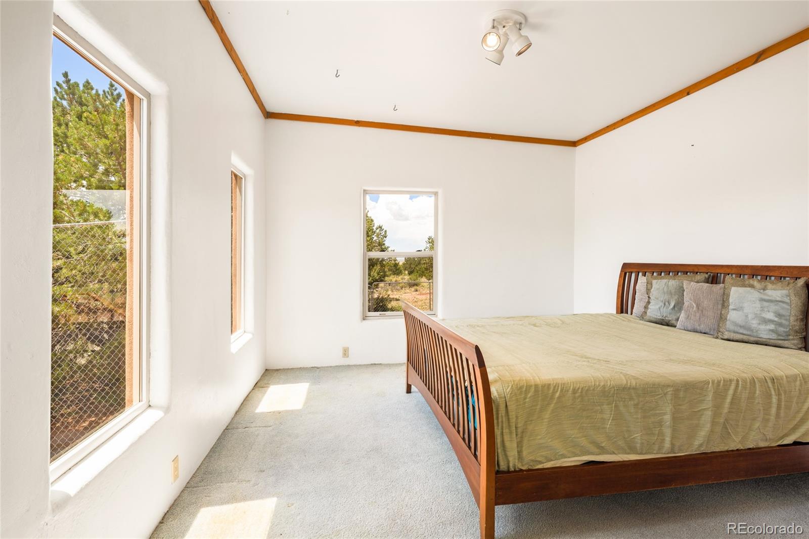 MLS Image #16 for 1494 e badger road,crestone, Colorado