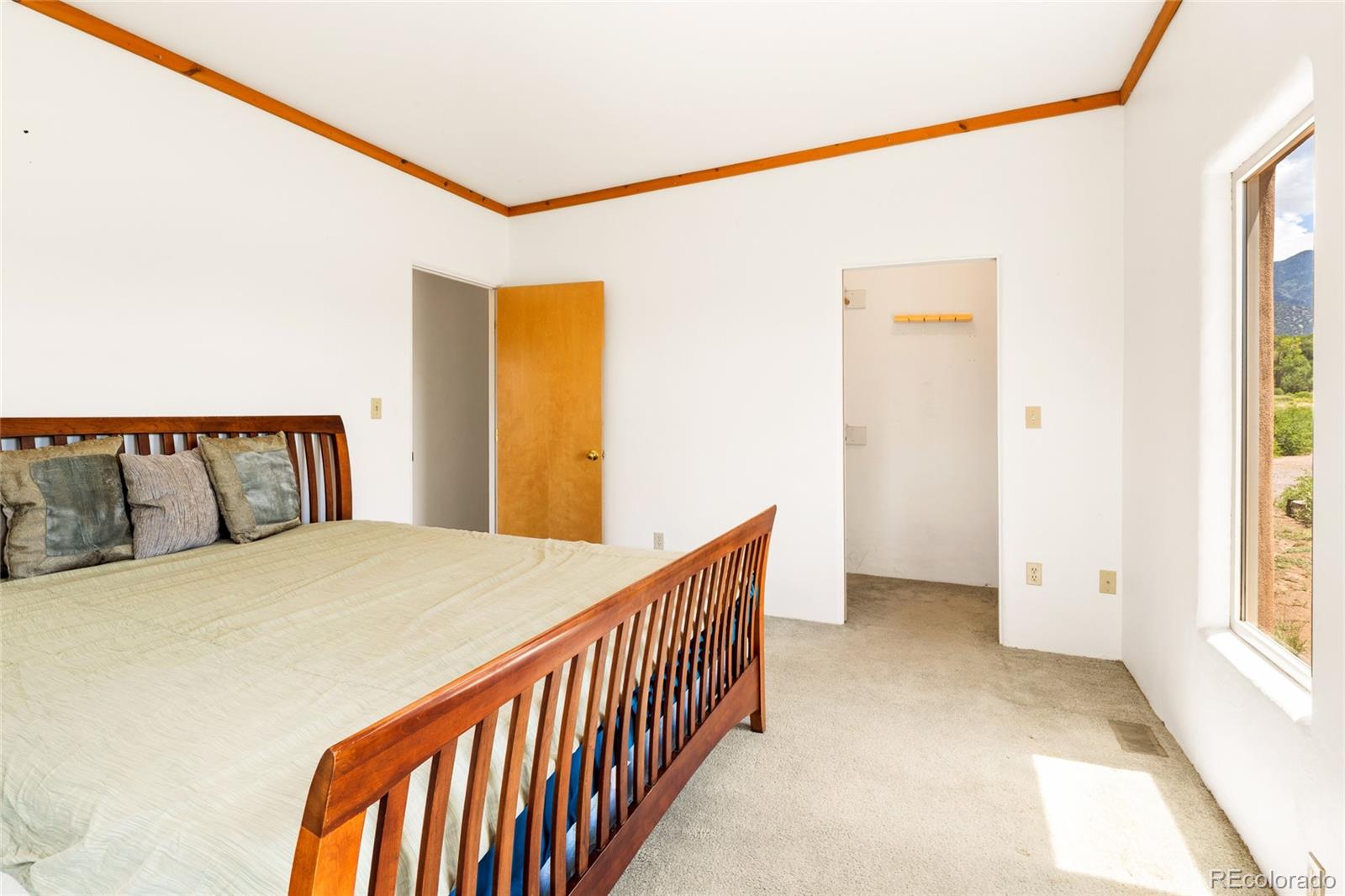 MLS Image #17 for 1494 e badger road,crestone, Colorado