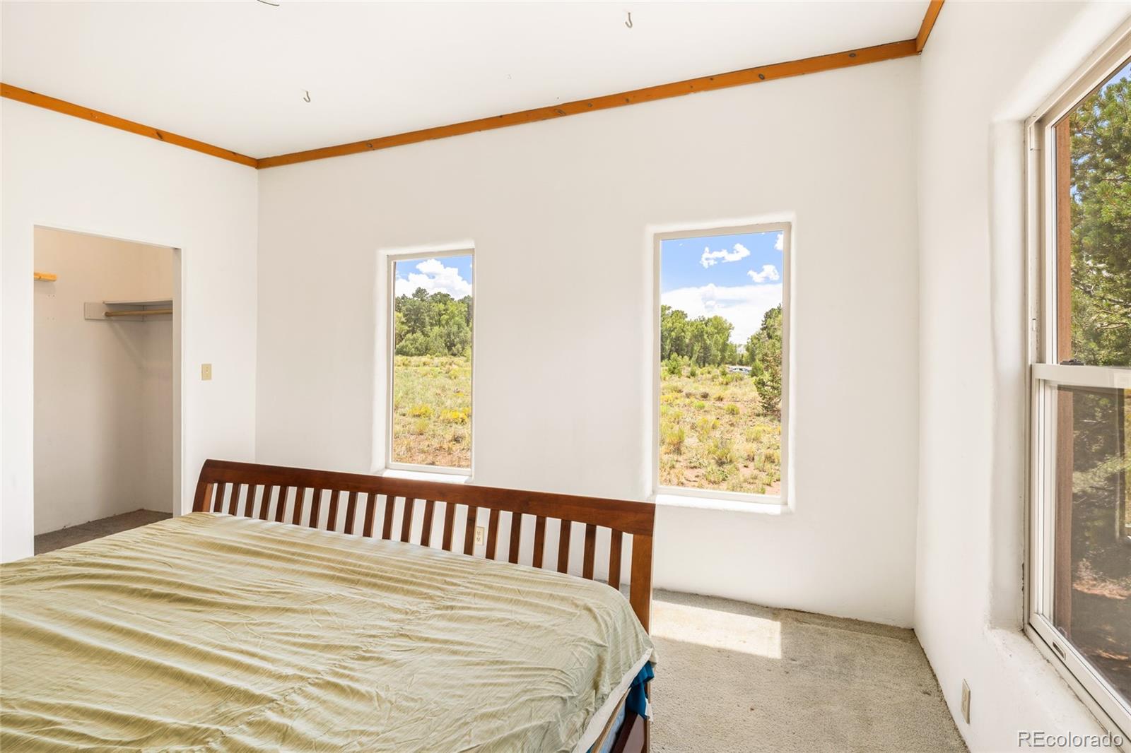 MLS Image #18 for 1494 e badger road,crestone, Colorado