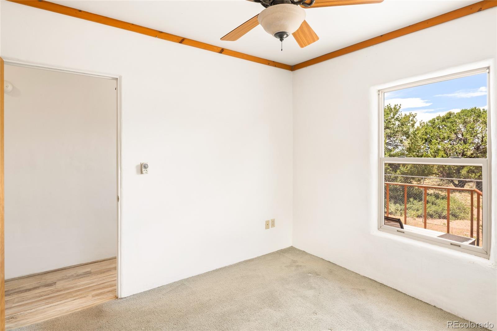 MLS Image #19 for 1494 e badger road,crestone, Colorado