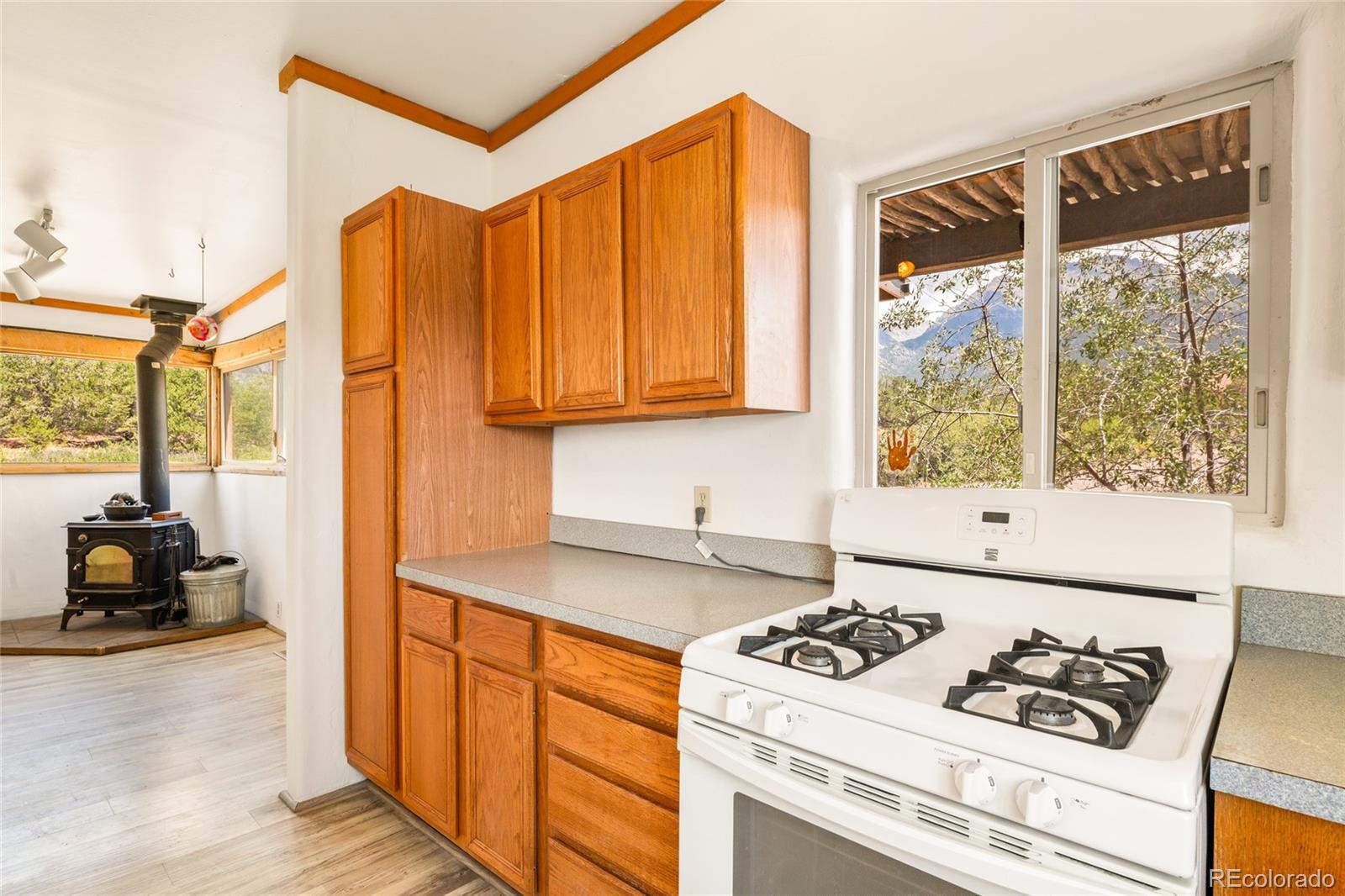 MLS Image #7 for 1494 e badger road,crestone, Colorado